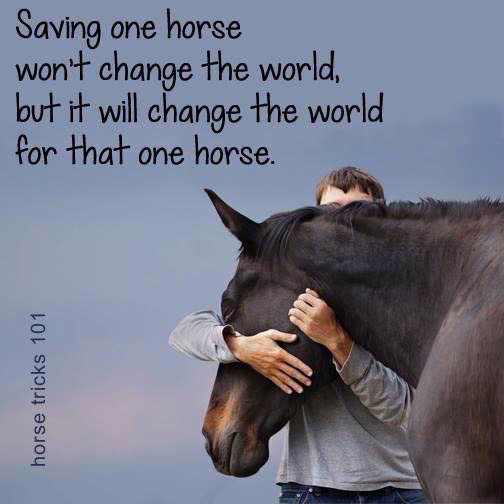 save one horse